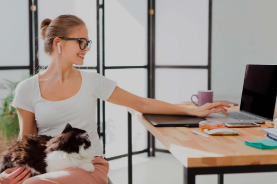 Top Learning Platforms for Student Success in 2025