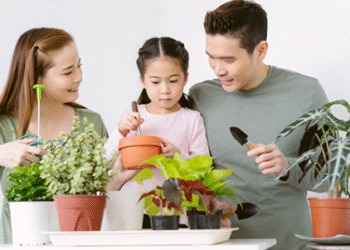 Family Bonding: Healthy Habits for Children to Learn Early