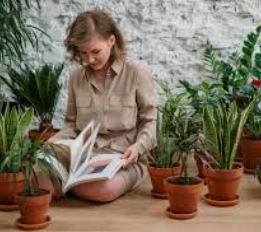 How to Start Creating a Healthy Home Environment Today