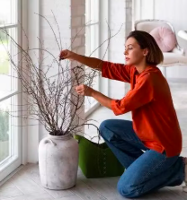 How to Start Creating a Healthy Home Environment Today