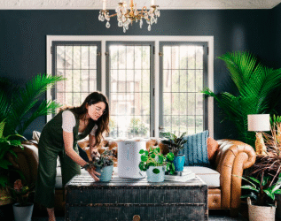 How to Start Creating a Healthy Home Environment Today