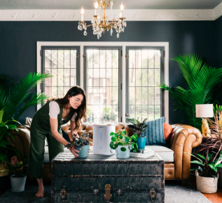 How to Start Creating a Healthy Home Environment Today