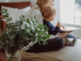 How to Start Creating a Healthy Home Environment Today