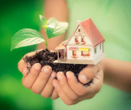 How to Enjoy Creating a Healthy Home Environment Together