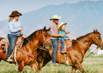 Weekend Activities That Support Family Wellness