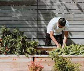 Creating a Healthy Home Environment With Everyday Activities