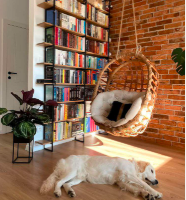 Creating a Healthy Home Environment With Fun Rituals