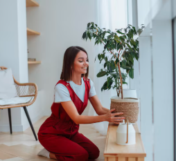 Daily Practices: Creating a Healthy Home Environment