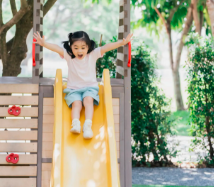 Everyday Calm: Creating a Healthy Home Environment Daily