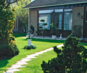 Creating a Healthy Home Environment With Simple Smiles