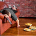 Sustainable Weight Loss by Building Strong Foundations