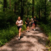 How to Build Habits That Feel Effortless