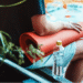 Why Food Freedom Supports Long-Term Success